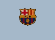 开云体育平台APP-梁靖崑关键制胜，波兰队碾压葡萄牙队—体育精神与团队力量的完美诠释