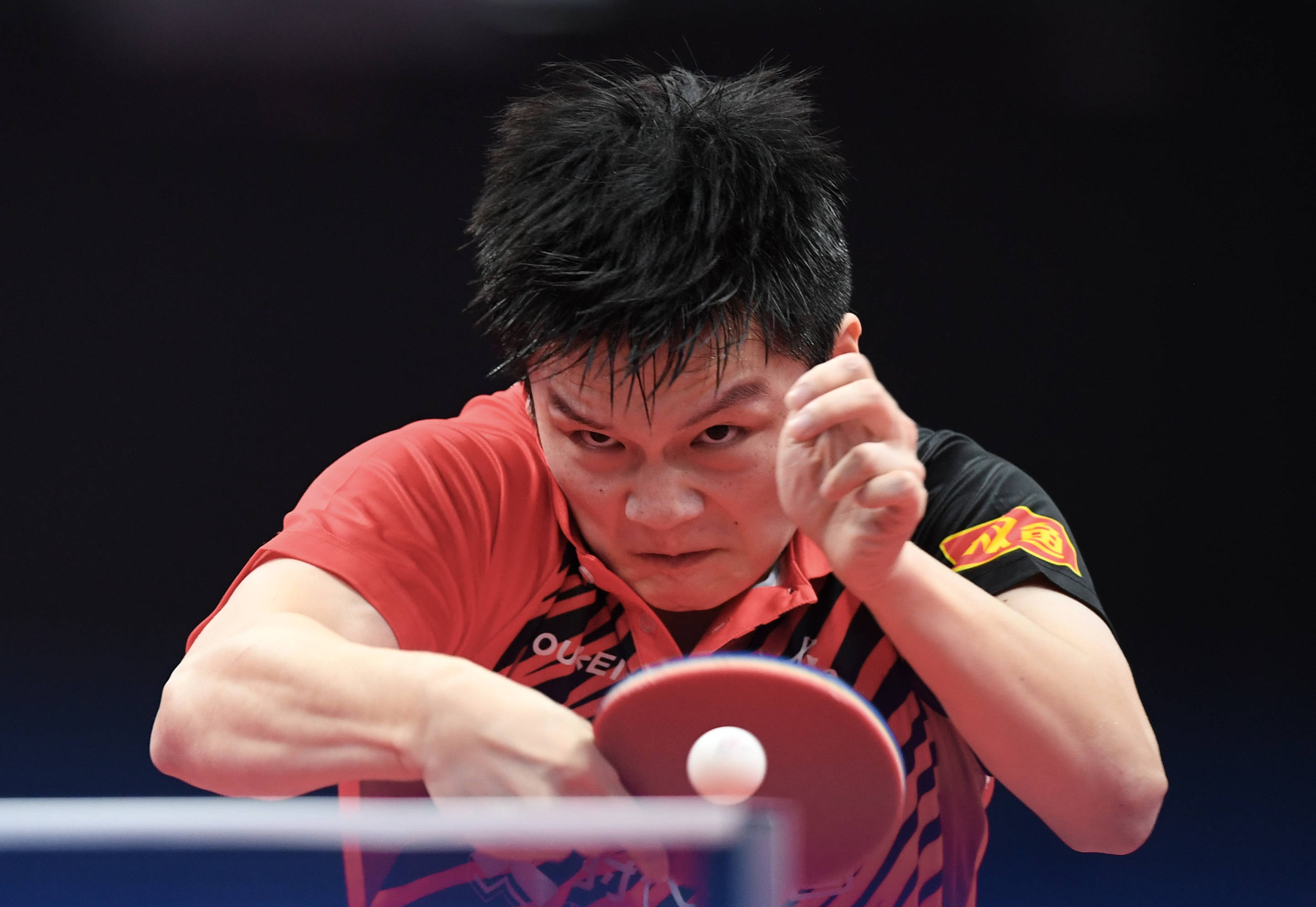 关于日本乒乓球队强势韩国乒乓球队，樊振东打破历史纪录的信息