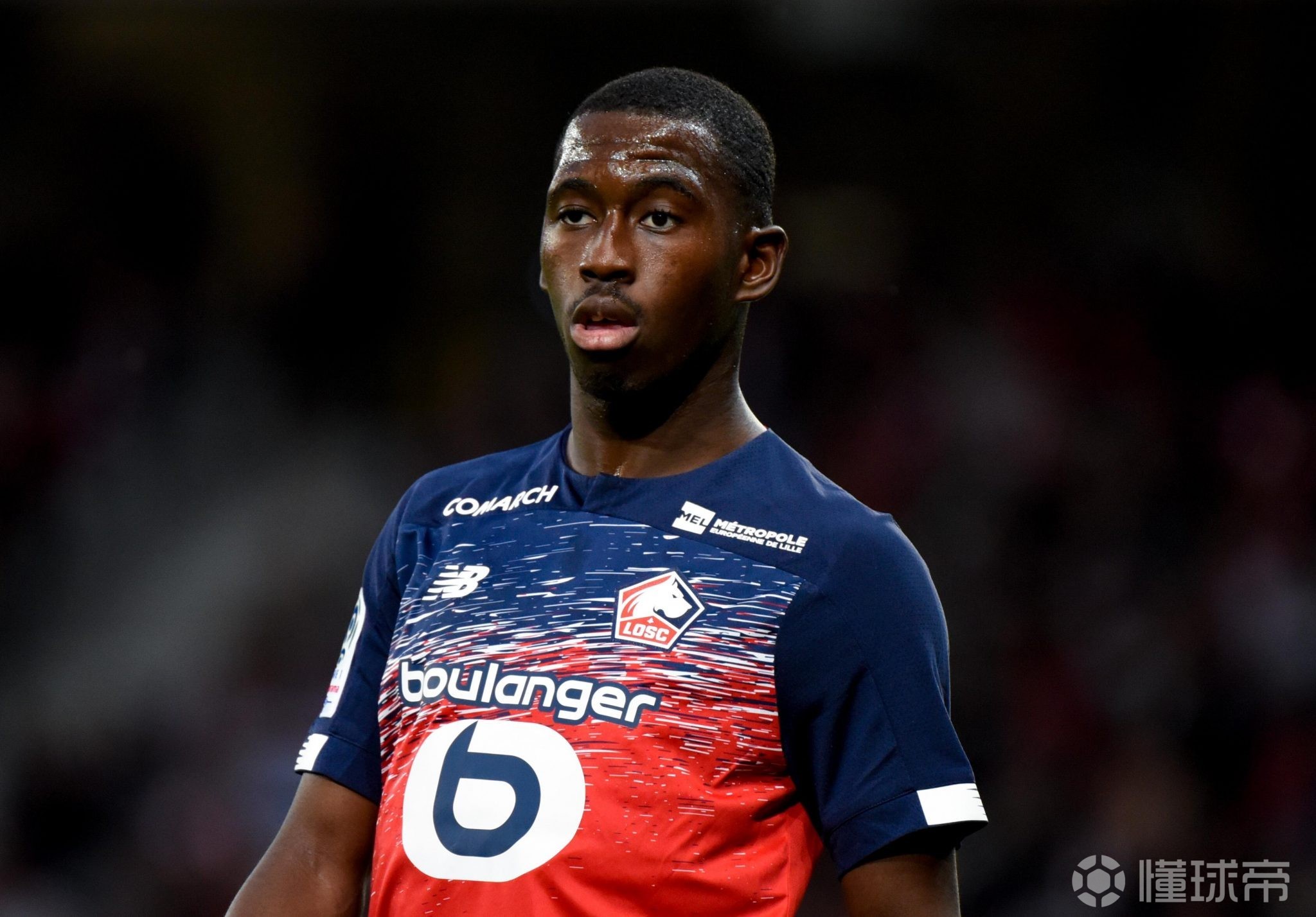 关于那不勒斯爆冷法国，布鲁诺惊艳世界的信息