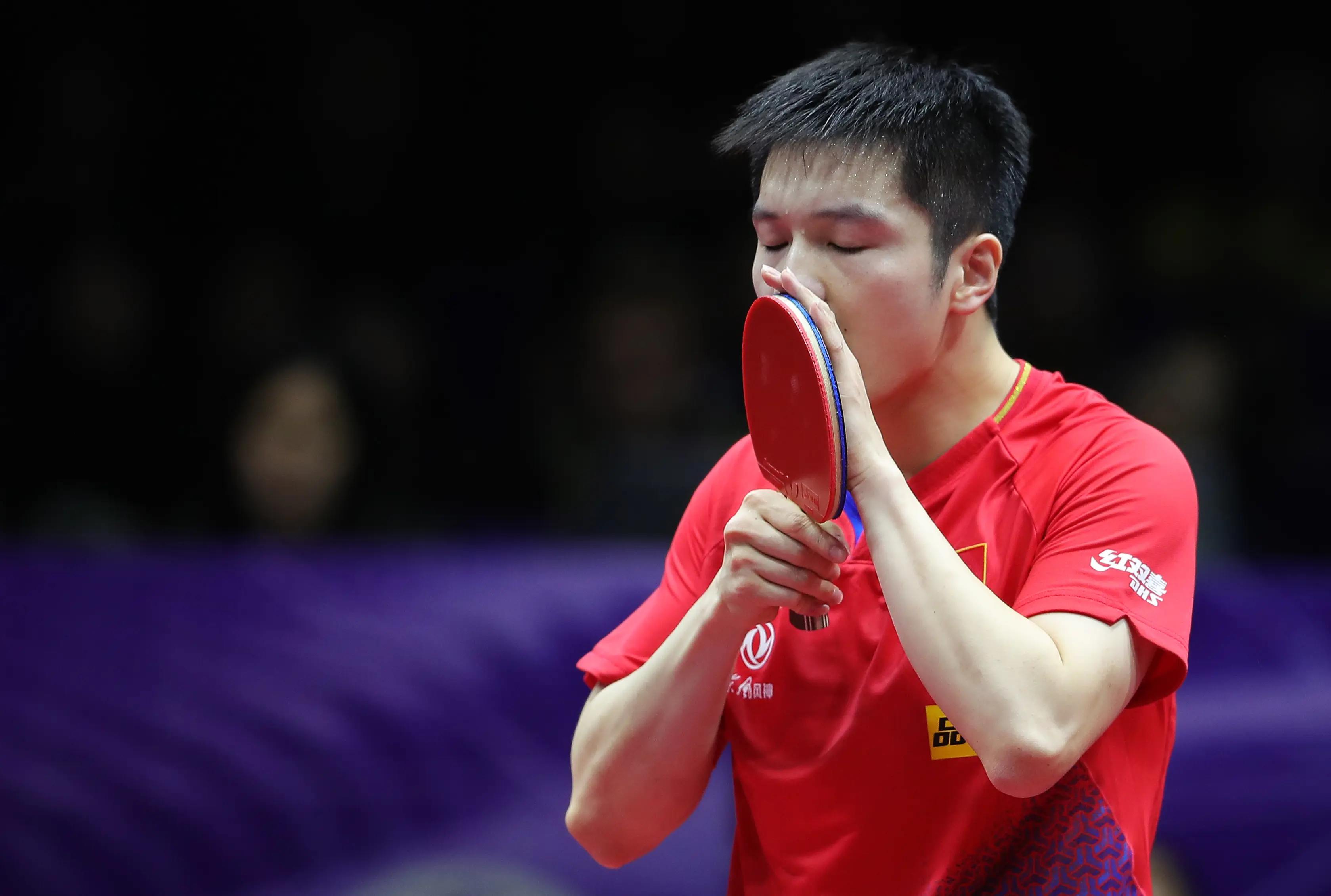 中国乒乓球队碾压奥地利乒乓球队，波尔爆发神勇的简单介绍