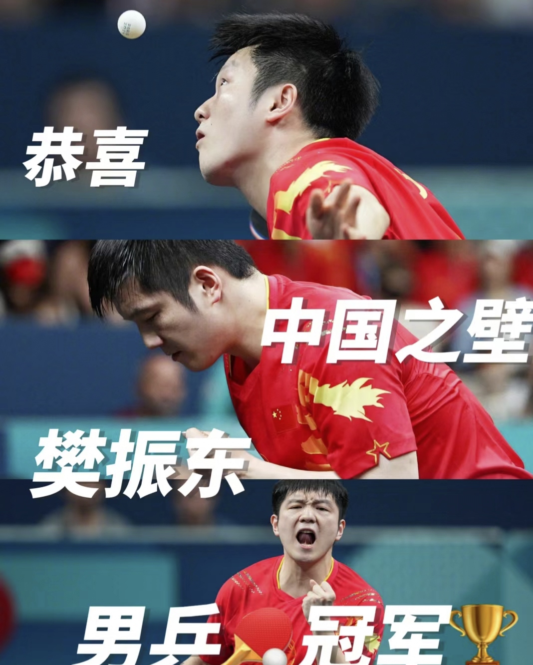 关于中国队碾压瑞典队，樊振东扛起全队的信息